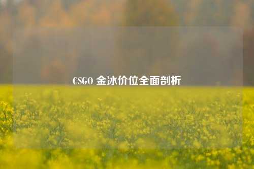 CSGO 金冰价位全面剖析