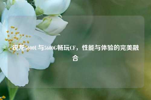 锐龙5600U与5600G畅玩CF，性能与体验的完美融合
