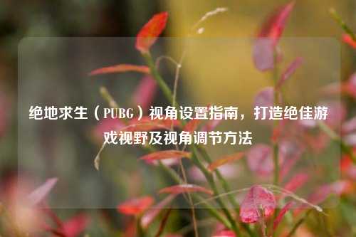 绝地求生(PUBG)视角设置指南,打造绝佳游戏视野及视角调节方法