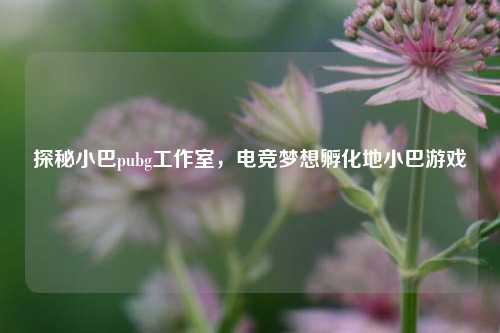 探秘小巴pubg工作室,电竞梦想孵化地小巴游戏