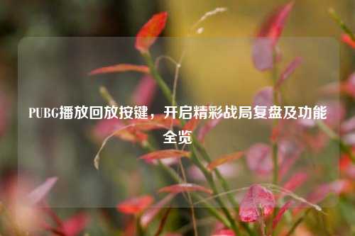 PUBG播放回放按键,开启精彩战局复盘及功能全览