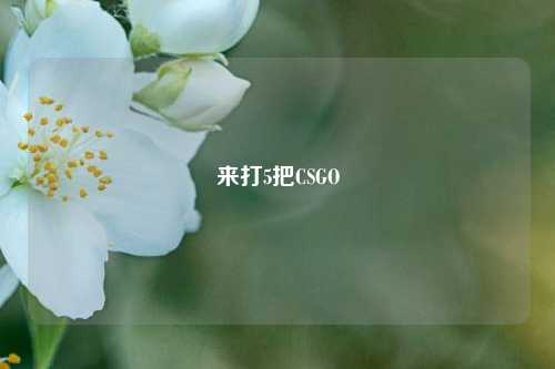 来打5把CSGO