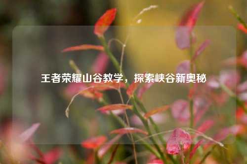 王者荣耀山谷教学,探索峡谷新奥秘