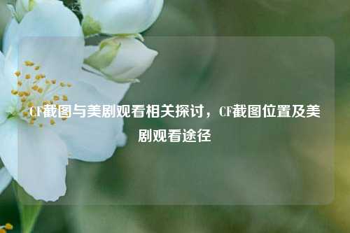 CF截图与美剧观看相关探讨,CF截图位置及美剧观看途径