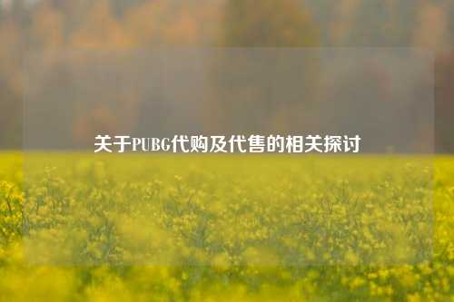 关于PUBG代购及代售的相关探讨