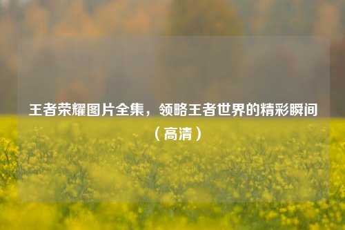 王者荣耀图片全集，领略王者世界的精彩瞬间（高清）