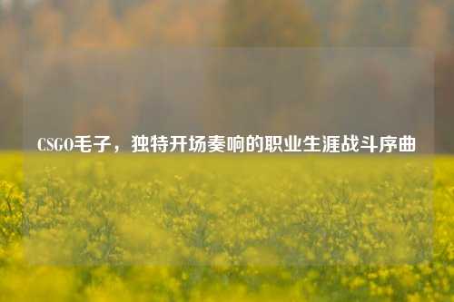 CSGO毛子,独特开场奏响的职业生涯战斗序曲