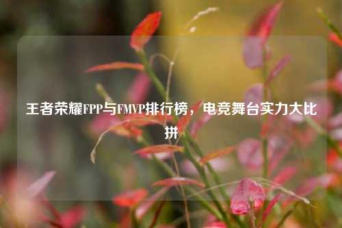 王者荣耀FPP与FMVP排行榜,电竞舞台实力大比拼