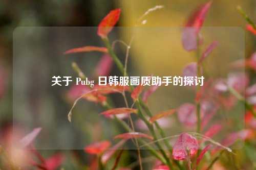 关于 Pubg 日韩服画质助手的探讨