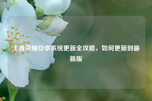 王者荣耀安卓系统更新全攻略,如何更新到最新版
