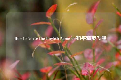 How to Write the English Name of 和平精英飞艇