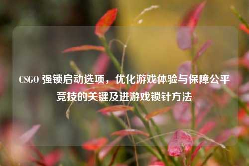 CSGO 强锁启动选项,优化游戏体验与保障公平竞技的关键及进游戏锁针方法