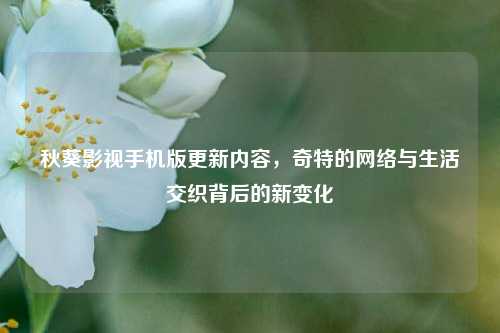 秋葵影视手机版更新内容,奇特的网络与生活交织背后的新变化