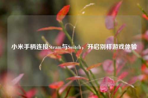 小米手柄连接Steam与Switch，开启别样游戏体验