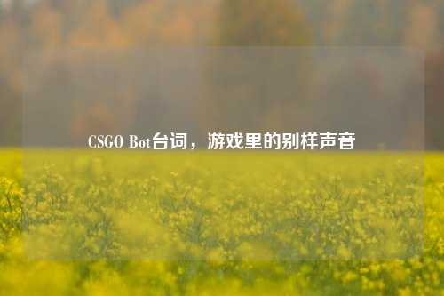 CSGO Bot台词，游戏里的别样声音