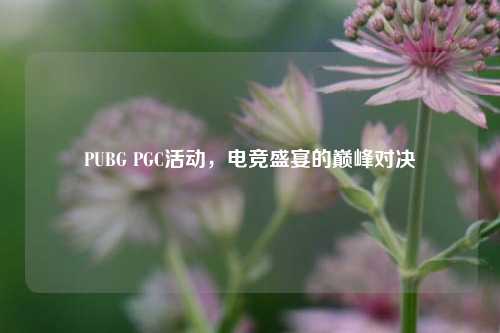 PUBG PGC活动，电竞盛宴的巅峰对决