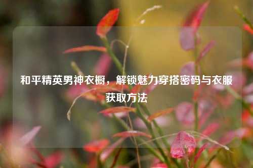和平精英男神衣橱，解锁魅力穿搭密码与衣服获取方法
