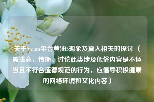 关于Steam平台黄油5现象及真人相关的探讨 (需注意,传播、讨论此类涉及低俗内容是不适当且不符合道德规范的行为,应倡导积极健康的网络环境和文化内容)