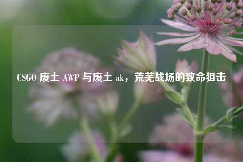 CSGO 废土 AWP 与废土 ak,荒芜战场的致命狙击
