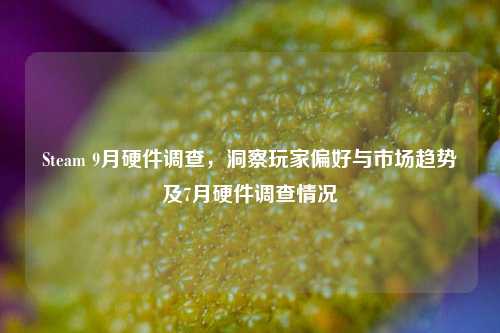 Steam 9月硬件调查,洞察玩家偏好与市场趋势及7月硬件调查情况