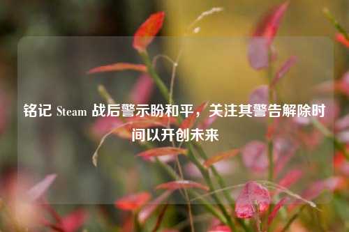 铭记 Steam 战后警示盼和平，关注其警告解除时间以开创未来