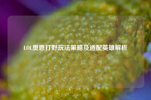 LOL奥恩打野玩法策略及适配英雄解析