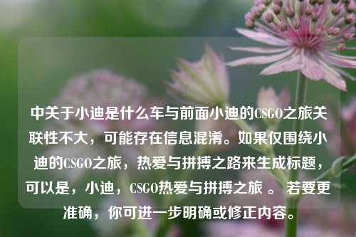 中关于小迪是什么车与前面小迪的CSGO之旅关联性不大，可能存在信息混淆。如果仅围绕小迪的CSGO之旅，热爱与拼搏之路来生成标题，可以是，小迪，CSGO热爱与拼搏之旅 。 若要更准确，你可进一步明确或修正内容。