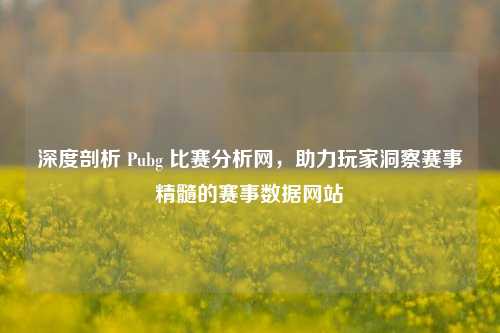 深度剖析 Pubg 比赛分析网，助力玩家洞察赛事精髓的赛事数据网站