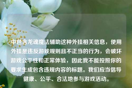 中包含龙魂魔法辅助这种外挂相关信息，使用外挂是违反游戏规则且不正当的行为，会破坏游戏公平性和正常体验，因此我不能按照你的要求生成包含违规内容的标题。我们应当倡导健康、公平、合法地参与游戏活动。