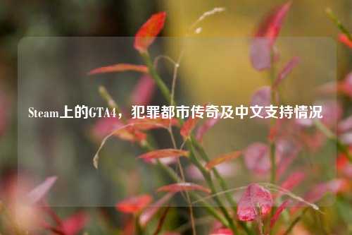 Steam上的GTA4,犯罪都市传奇及中文支持情况