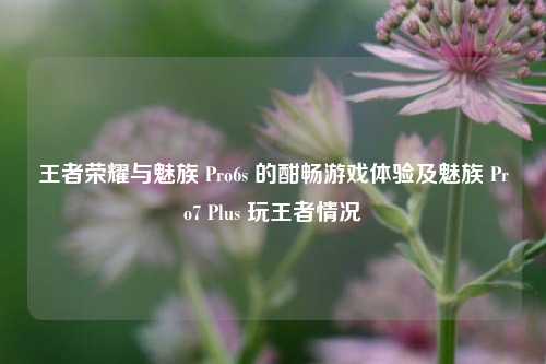 王者荣耀与魅族 Pro6s 的酣畅游戏体验及魅族 Pro7 Plus 玩王者情况