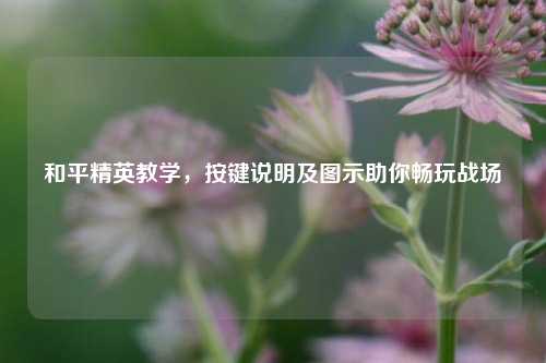 和平精英教学,按键说明及图示助你畅玩战场