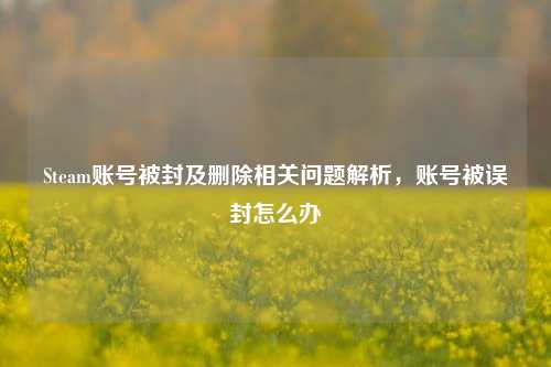 Steam账号被封及删除相关问题解析,账号被误封怎么办