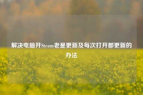 解决电脑开Steam老是更新及每次打开都更新的办法