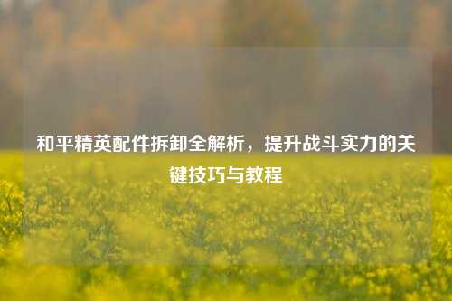 和平精英配件拆卸全解析,提升战斗实力的关键技巧与教程