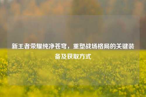 新王者荣耀纯净苍穹，重塑战场格局的关键装备及获取方式