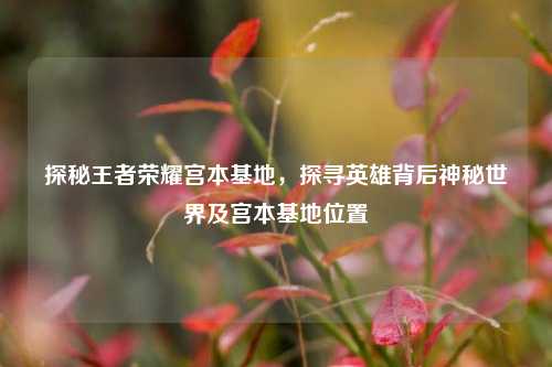 探秘王者荣耀宫本基地,探寻英雄背后神秘世界及宫本基地位置