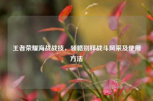 王者荣耀海战战技,领略别样战斗风采及使用方法