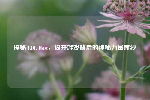 探秘 LOL Host,揭开游戏背后的神秘力量面纱