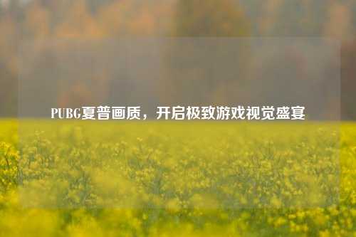 PUBG夏普画质,开启极致游戏视觉盛宴