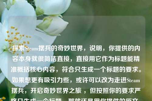 探索Steam摆兵的奇妙世界，说明，你提供的内容本身就很简洁直接，直接用它作为标题能精准概括核心内容，符合只生成一个标题的要求。如果想更有吸引力些，或许可以改为走进Steam摆兵，开启奇妙世界之旅 ，但按照你的要求严格只生成一个标题，那就还是用你提供的原文。