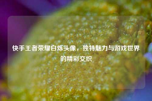 快手王者荣耀白烁头像，独特魅力与游戏世界的精彩交织