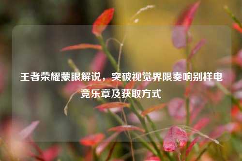 王者荣耀蒙眼解说，突破视觉界限奏响别样电竞乐章及获取方式