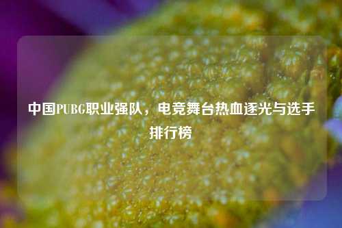 中国PUBG职业强队,电竞舞台热血逐光与选手排行榜