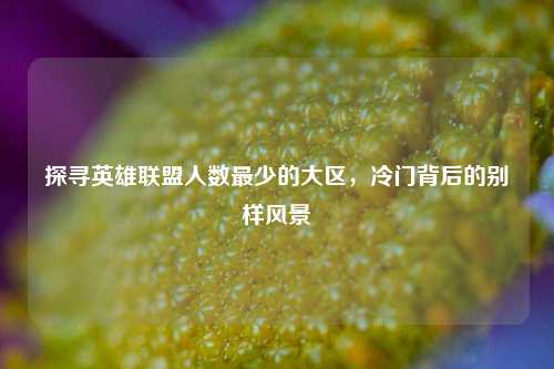 探寻英雄联盟人数最少的大区,冷门背后的别样风景
