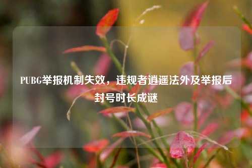 PUBG举报机制失效，违规者逍遥法外及举报后封号时长成谜