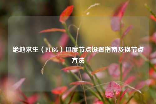 绝地求生（PUBG）印度节点设置指南及换节点方法