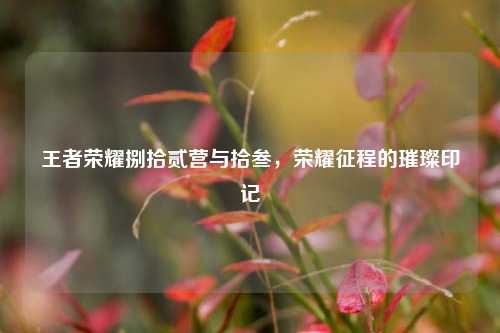 王者荣耀捌拾贰营与拾叁,荣耀征程的璀璨印记