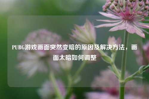 PUBG游戏画面突然变暗的原因及解决方法,画面太暗如何调整