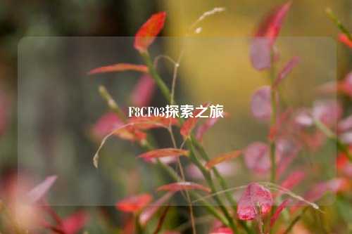 F8CF03探索之旅